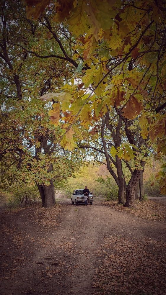 Фотография автора Анастасия Мамаева
