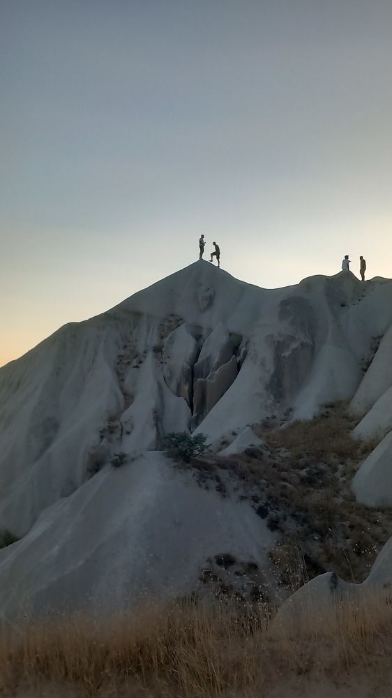 Photograph by Elena Burgstaller