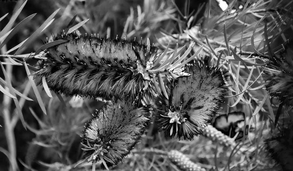 Photograph by Алекскандр Фатеев