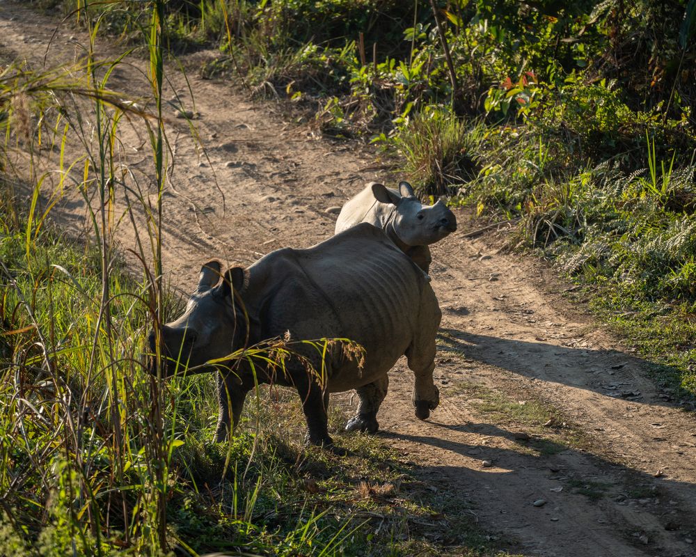 Photograph by Баландин Дмитрий