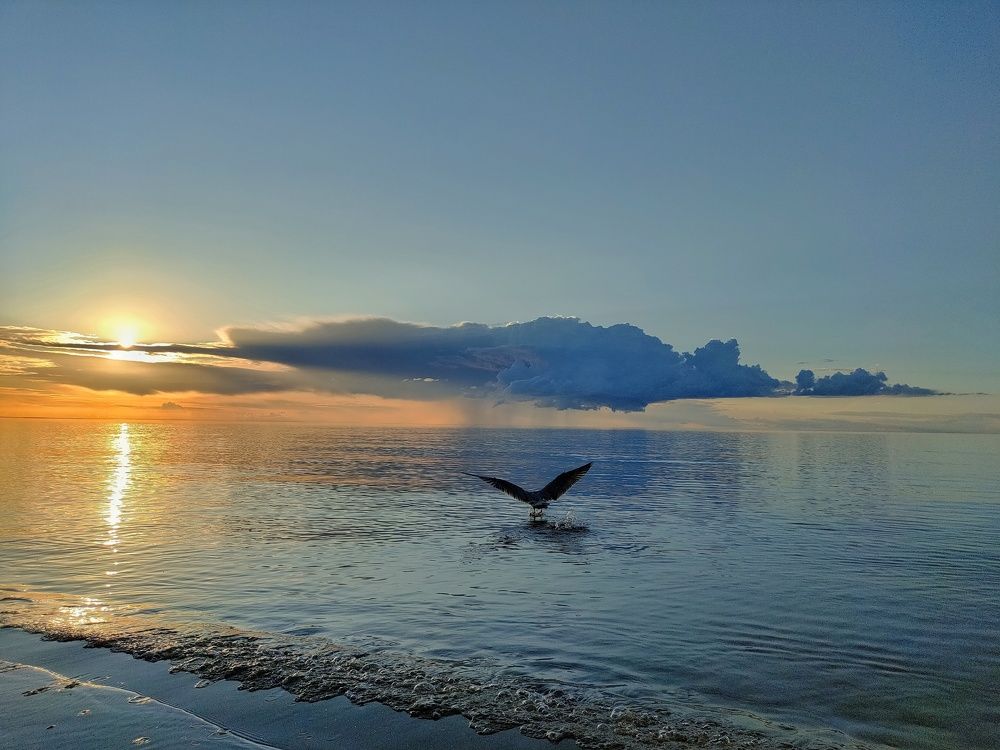 Я улетаю на закат...