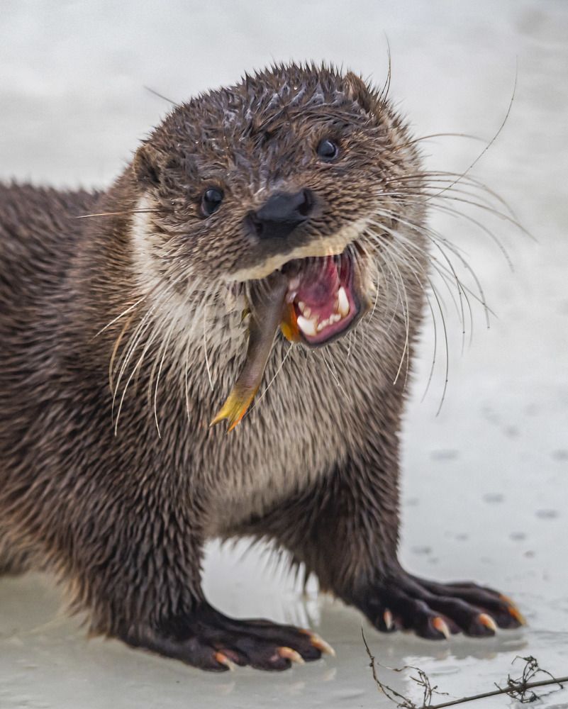 Photograph by Савчук Сергей