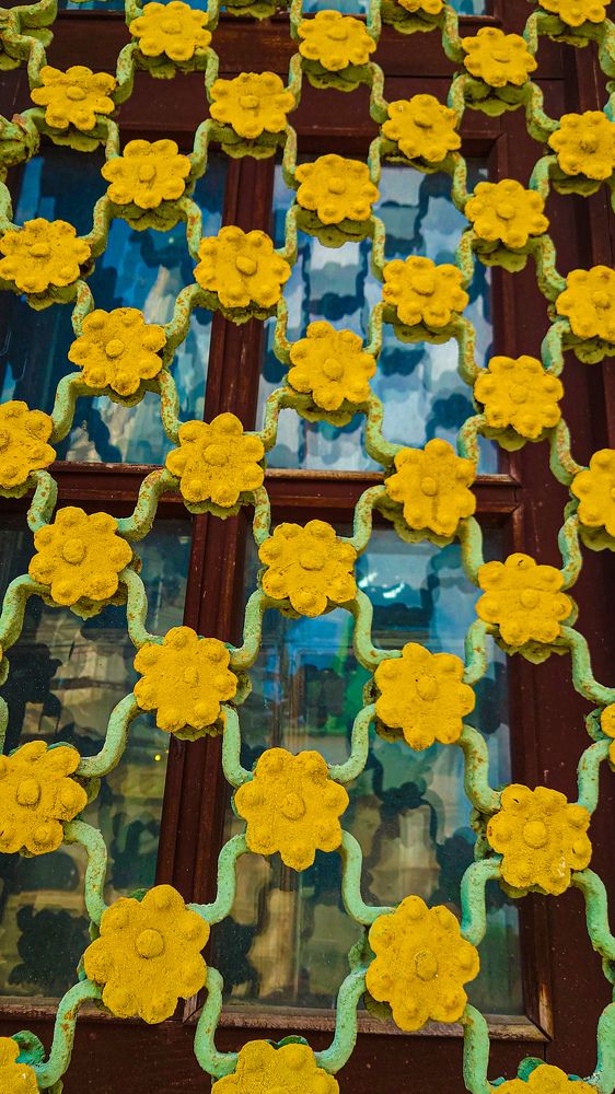 Фотография автора Elena Ku