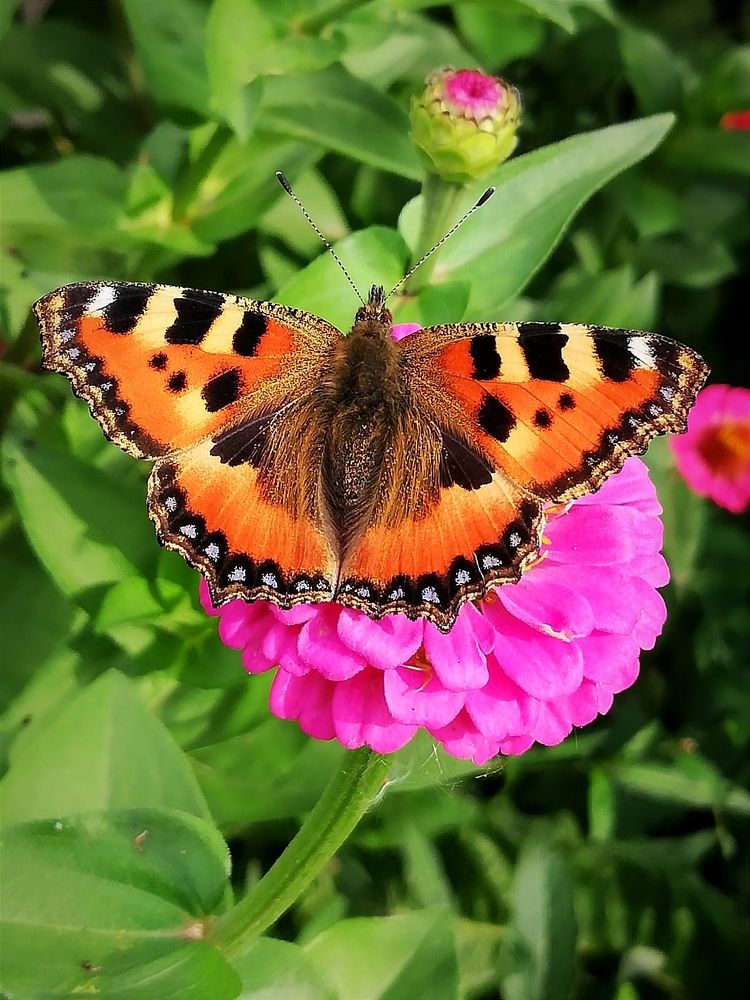 Photograph by Galina Novichkova