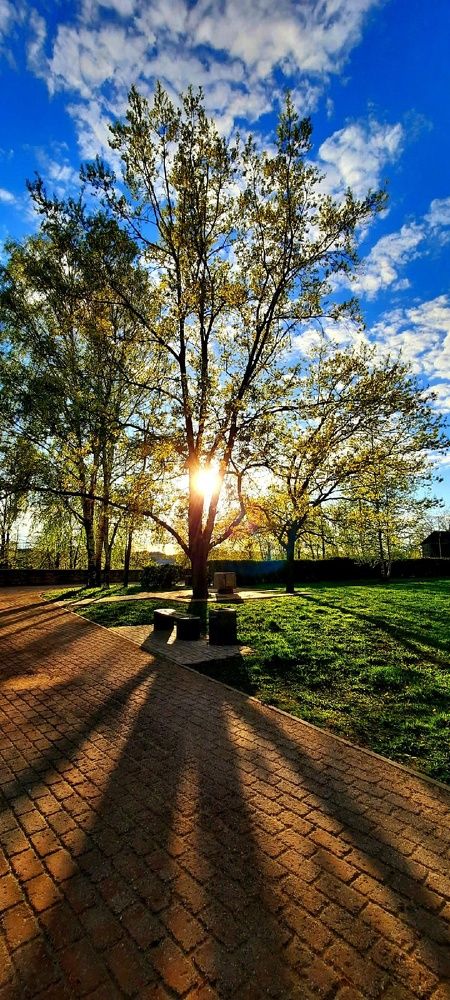 Photograph by Марина Игнатьева