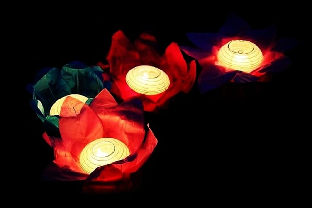 Photograph by Кристина Шмырева