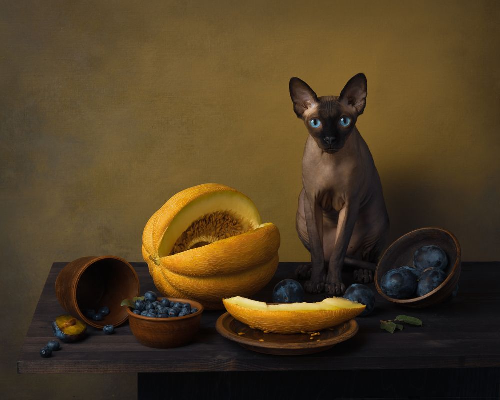 «Сфинкс и дыня»