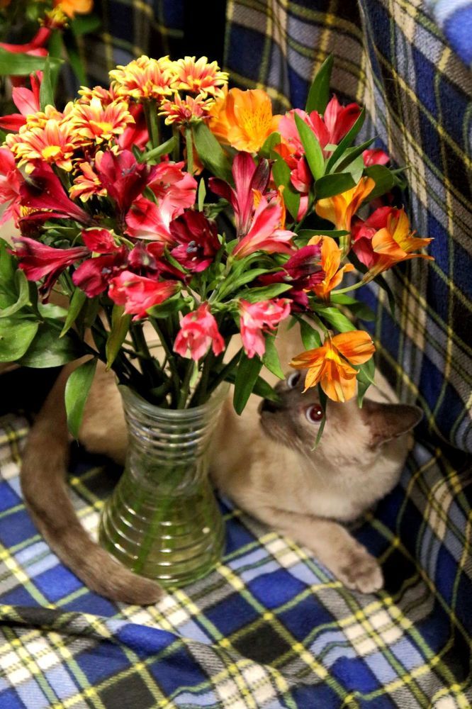 Photograph by Юрий Варюхин