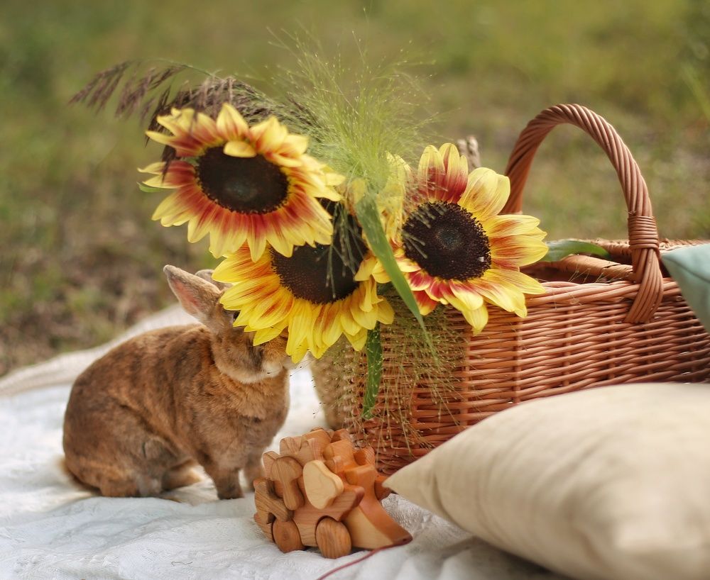 Photograph by Алсу Хусаинова