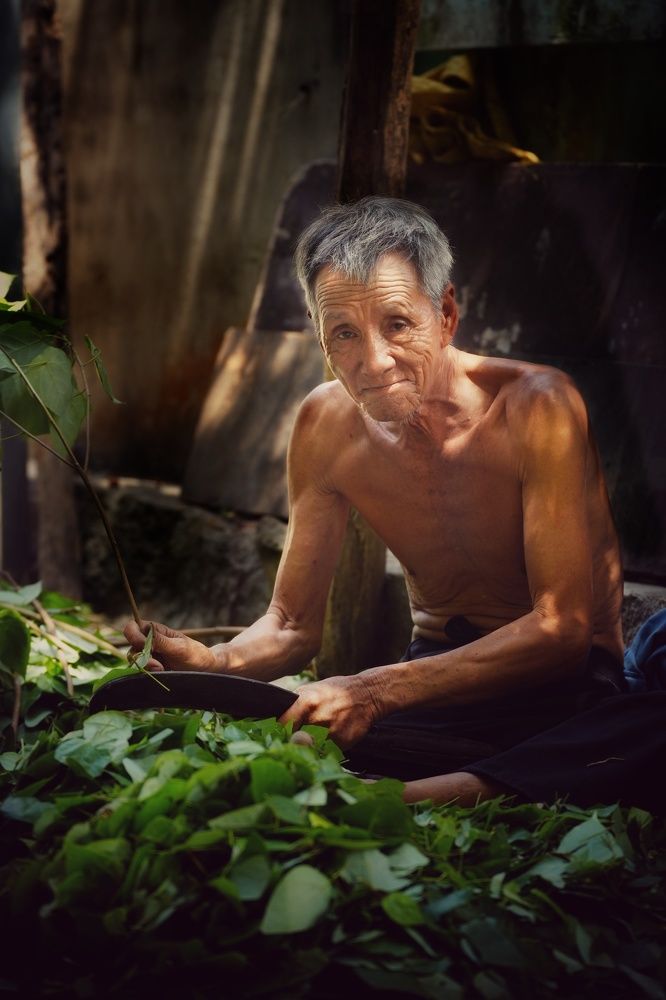 Фотография автора Светлана Зимина