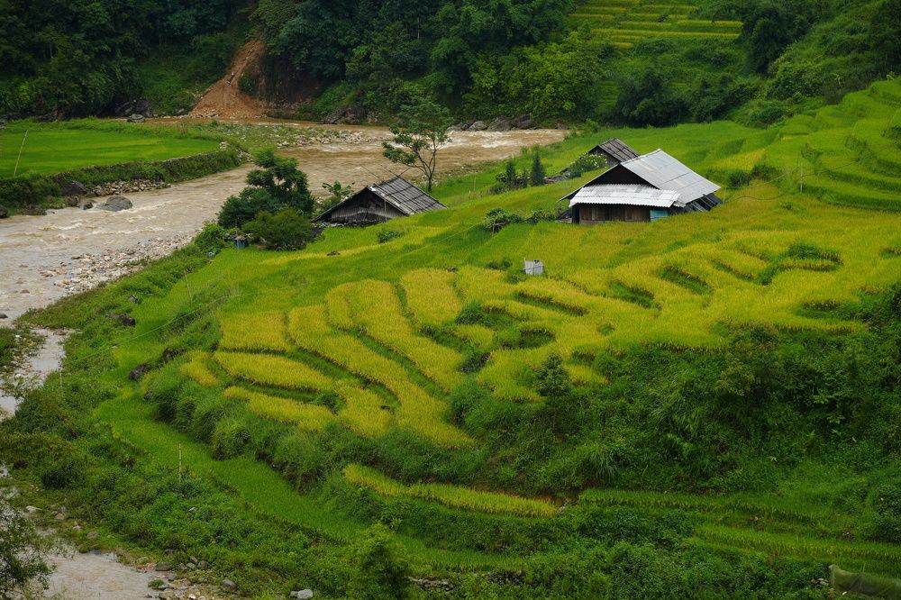 Фотография автора Светлана Зимина