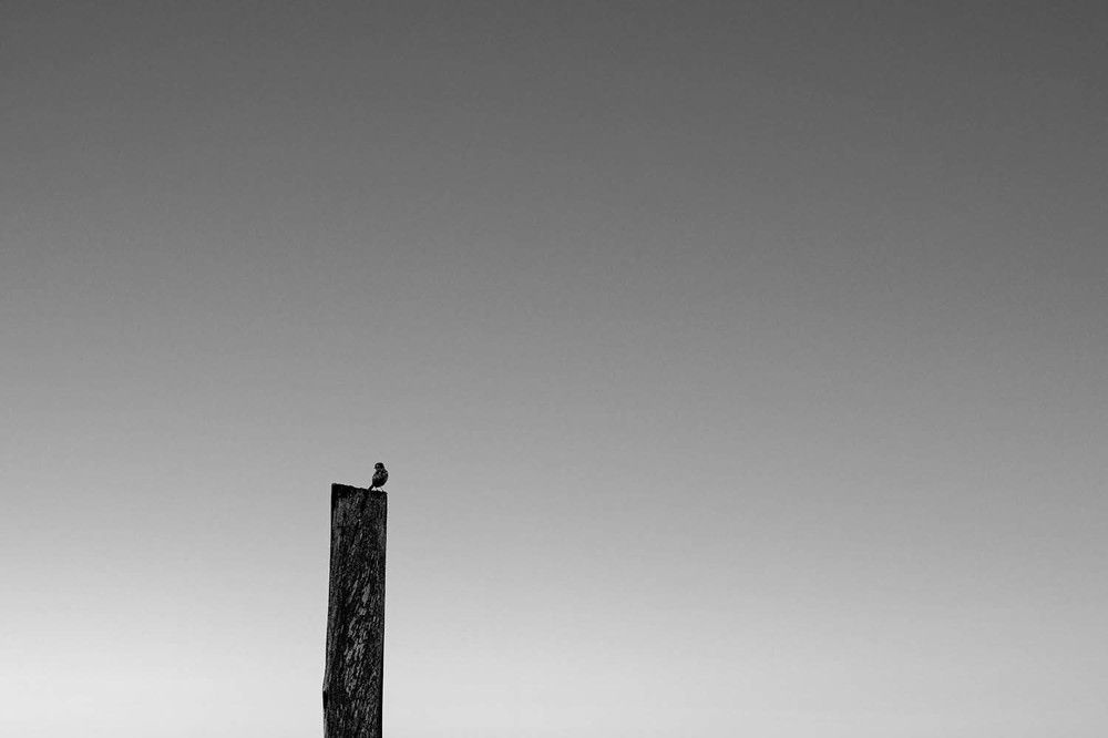 Photograph by Rafael Pictures