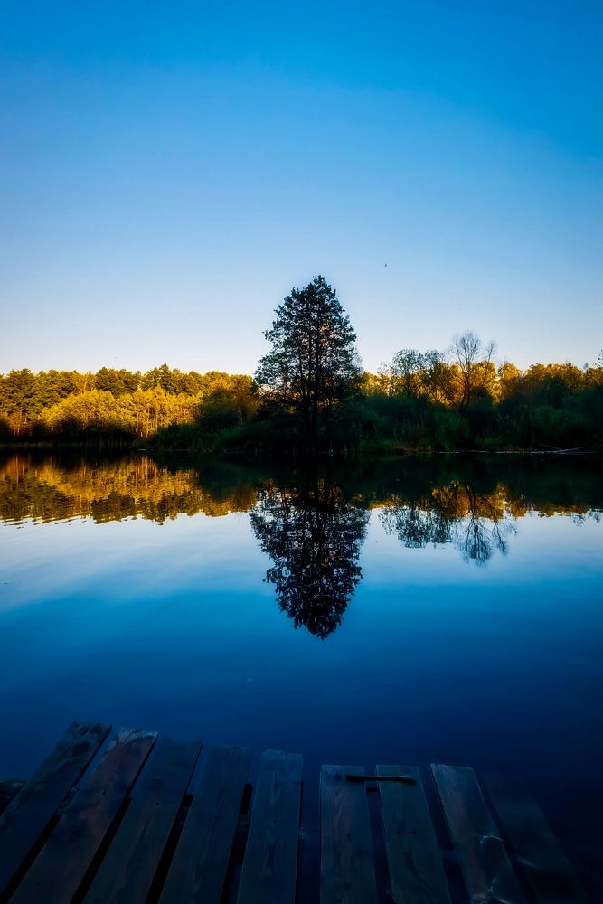 Photograph by Светлана Перминова