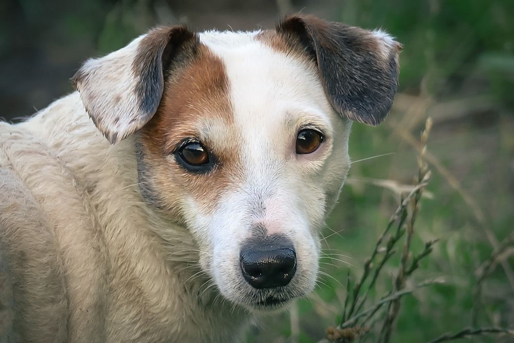 Photograph by (AlexOldmanPhoto) Алексей Стариков