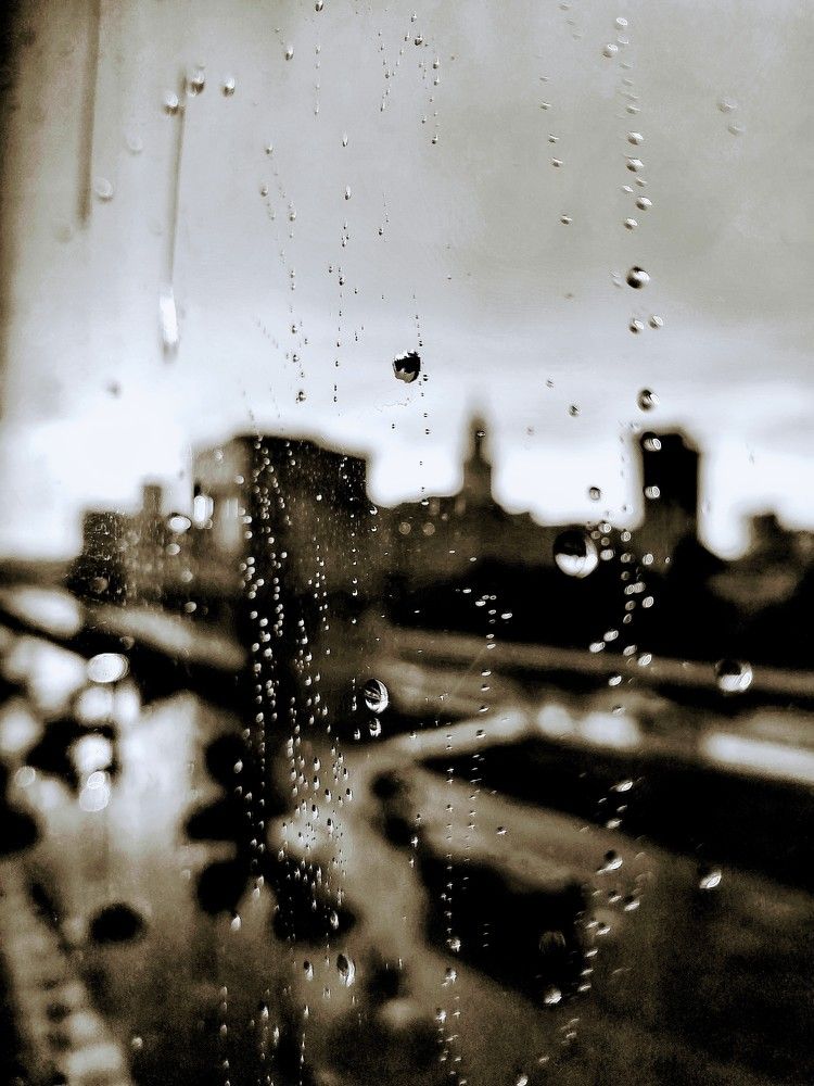 Photograph by Марина Моссий