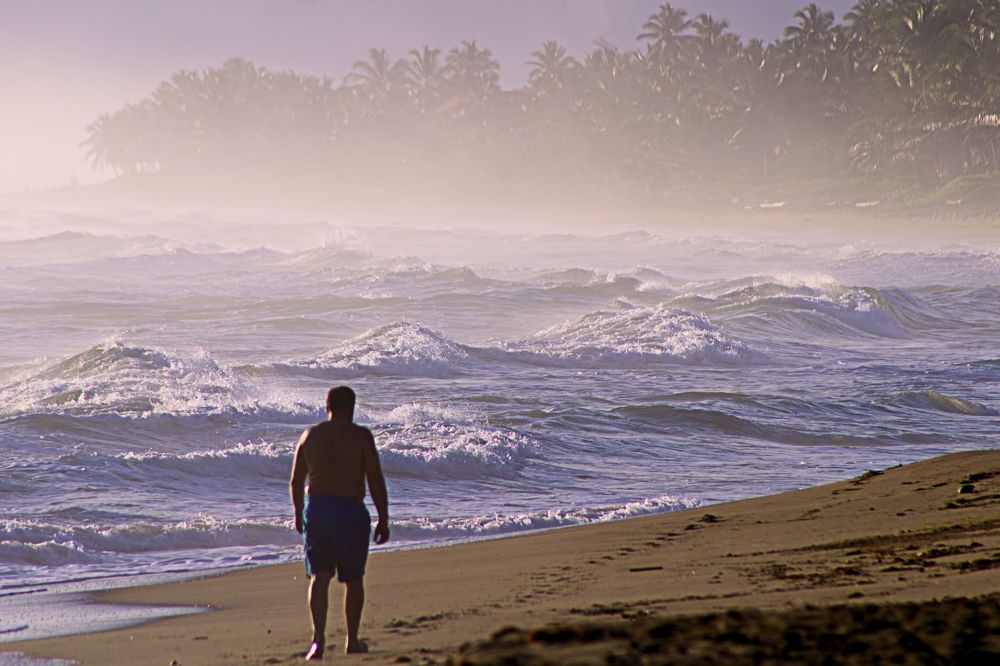 Photograph by A. G. Bisschop