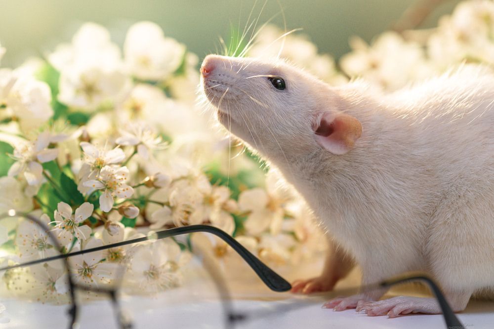 Photograph by Valentina Suvorova