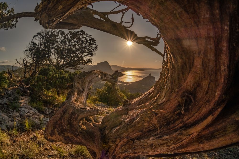 Photograph by Разумов Александр