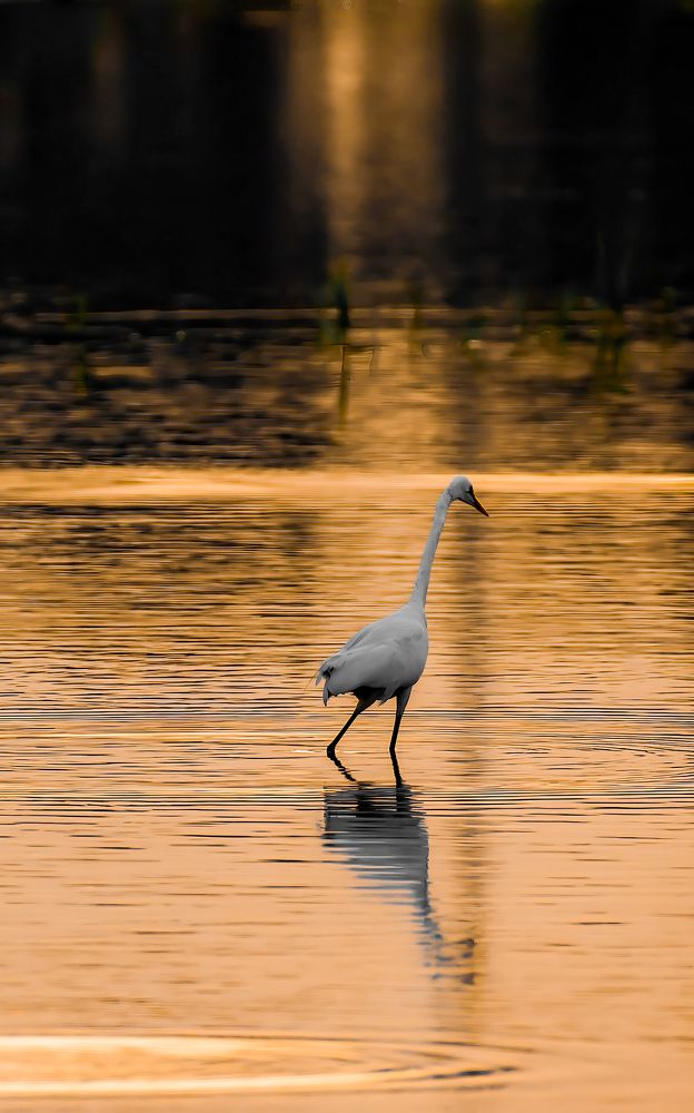 sunset beauty