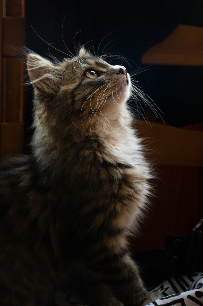 Photograph by Kajetan Szendzielorz