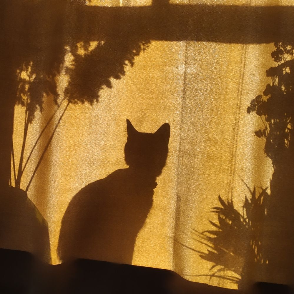 Photograph by Дарья Малиновская