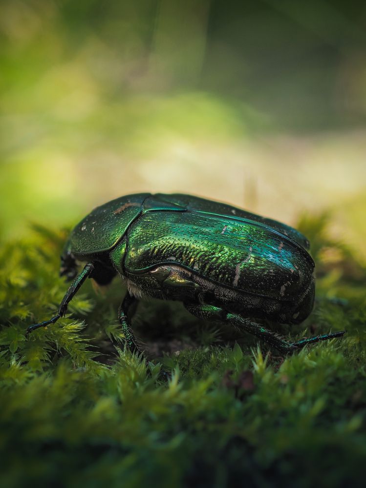 Photograph by Юрий Говорков