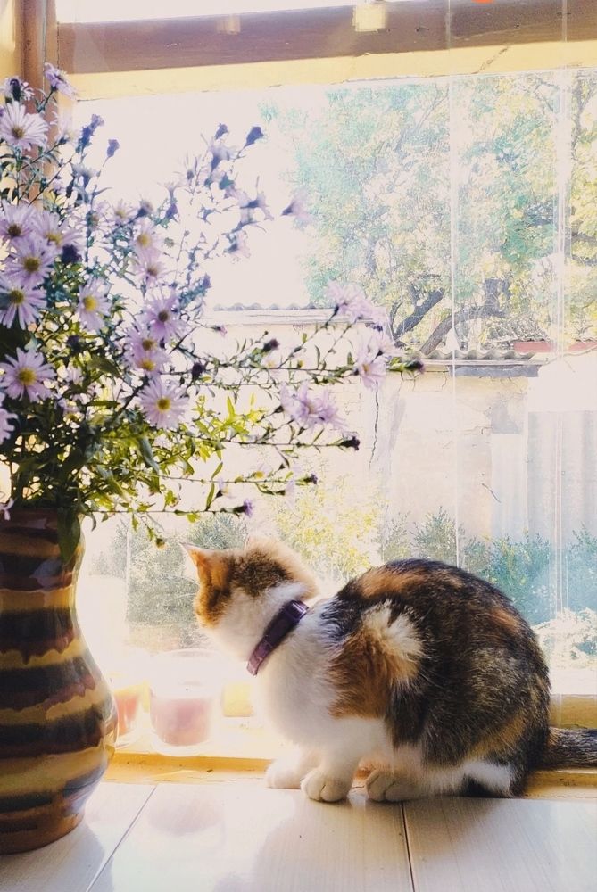 Photograph by Дарья Малиновская