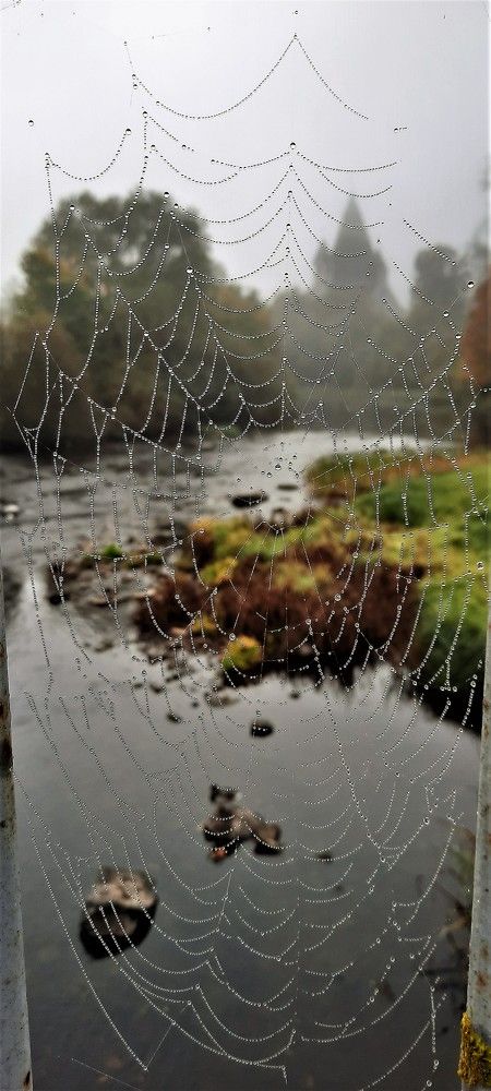 Photograph by Марина Игнатьева