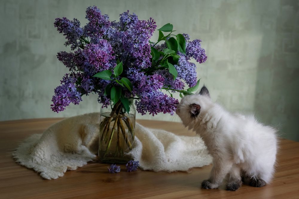 Photograph by Минаева Татьяна