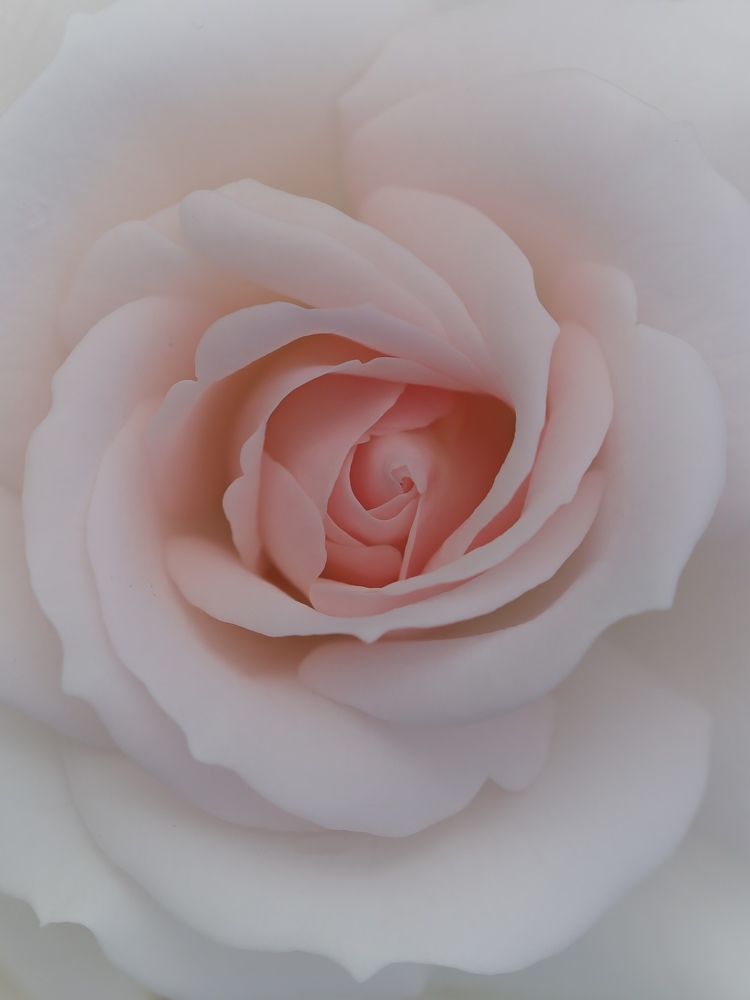 Photograph by Ирина Серегина