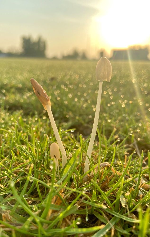 Photograph by Ирина Молибог