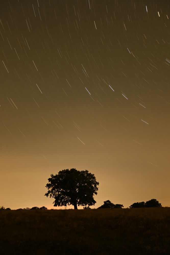 Photograph by Robert Barna