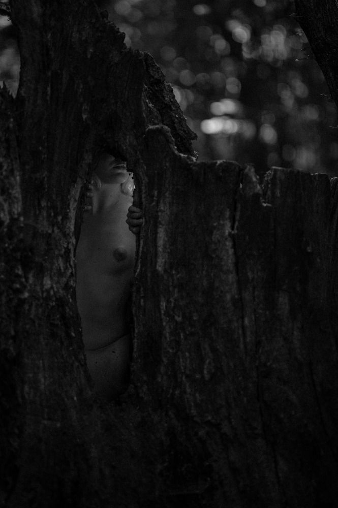 Photograph by Robert Barna