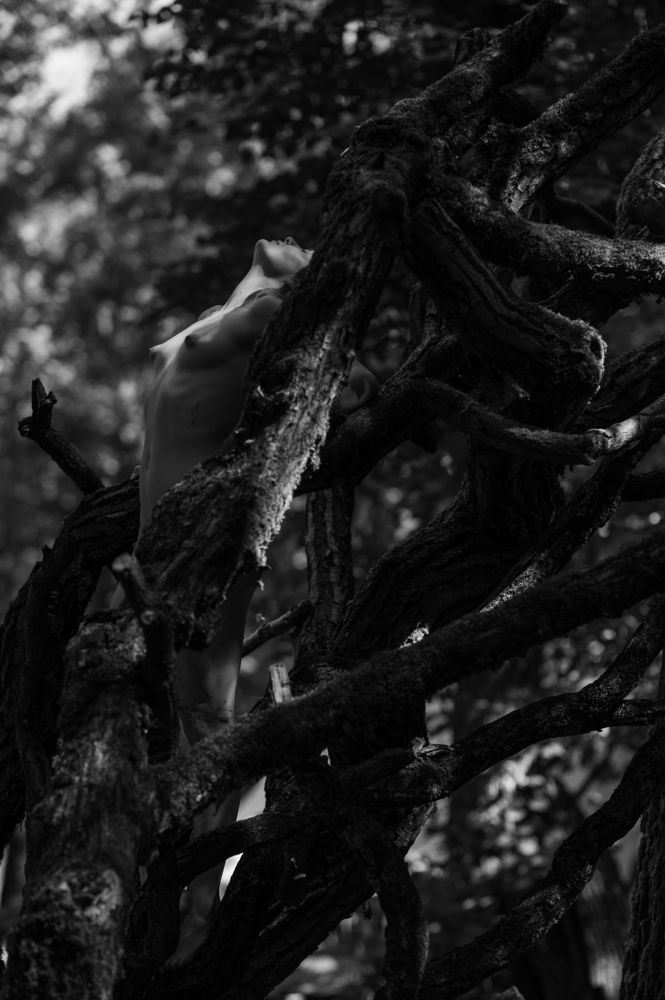 Photograph by Robert Barna