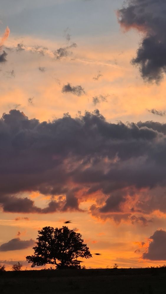 Photograph by Robert Barna