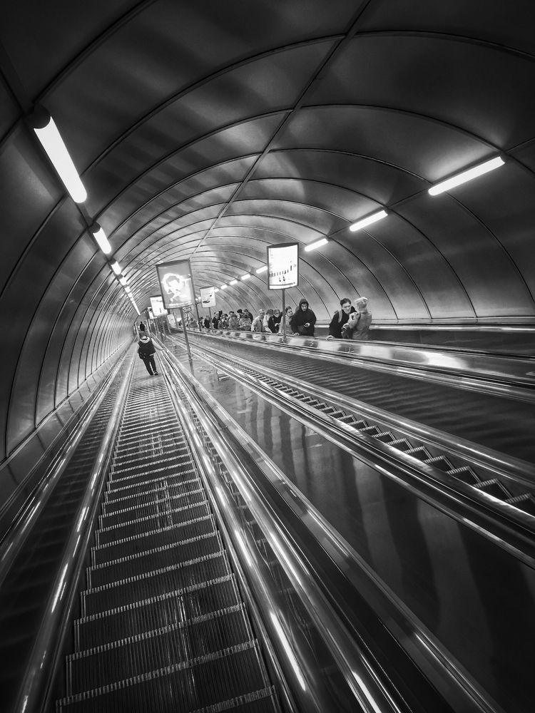 Photograph by Komlev Sergei