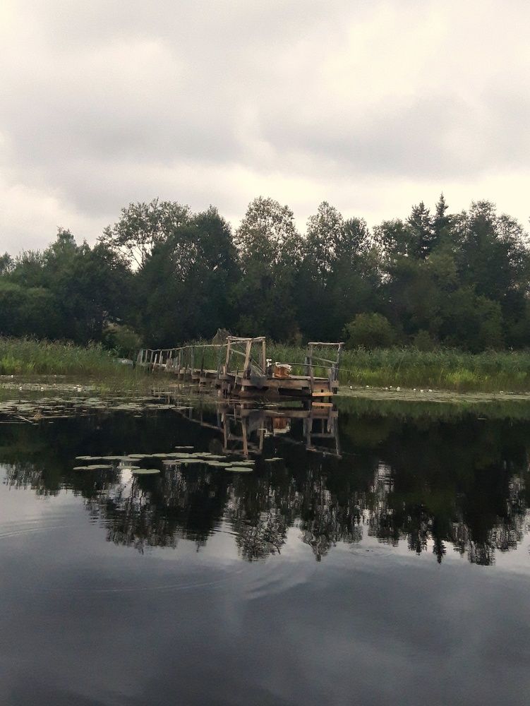 Photograph by Angelica Medvedeva