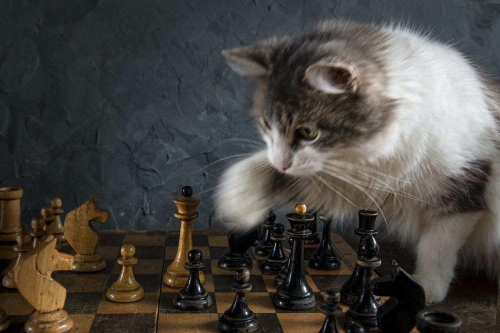 Photograph by Игорь Смирнов