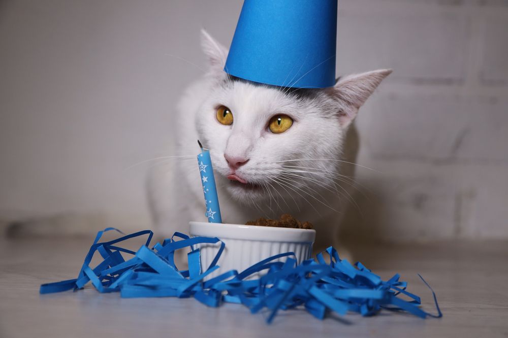 Photograph by Ольга Богданова