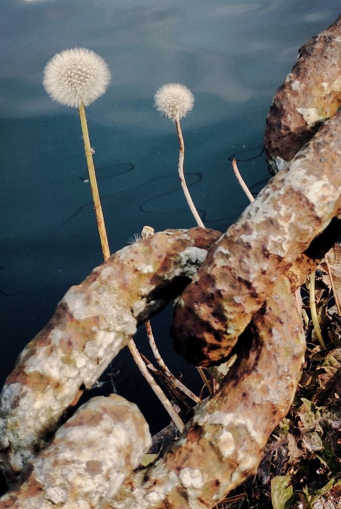 Photograph by Marina Green