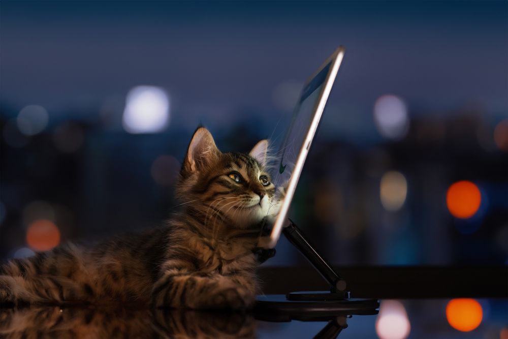 Photograph by Liu Lock