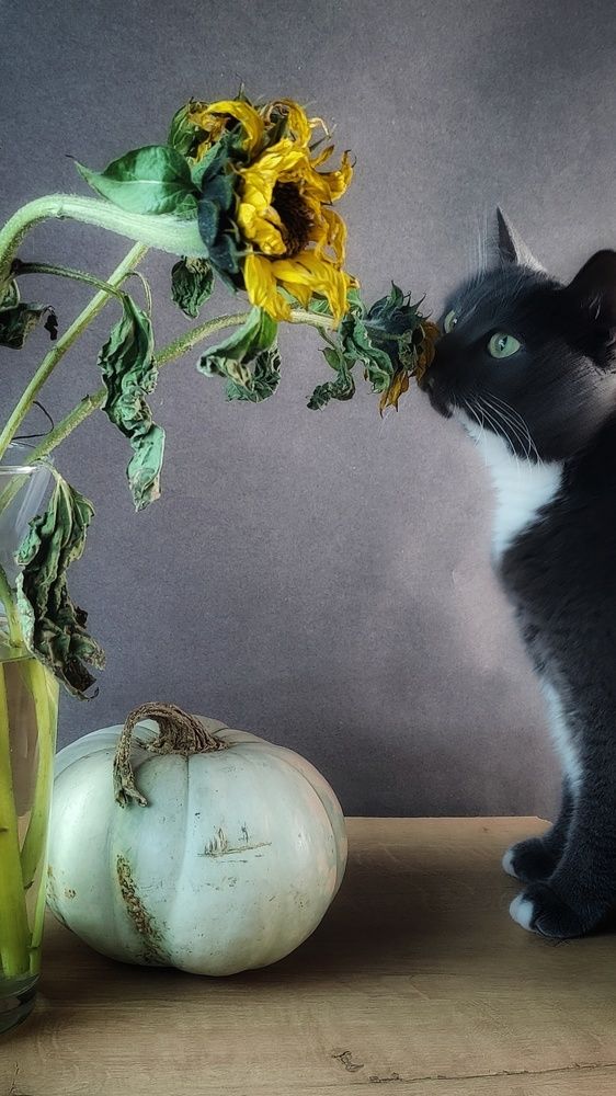 Photograph by Татьяна Гулакова