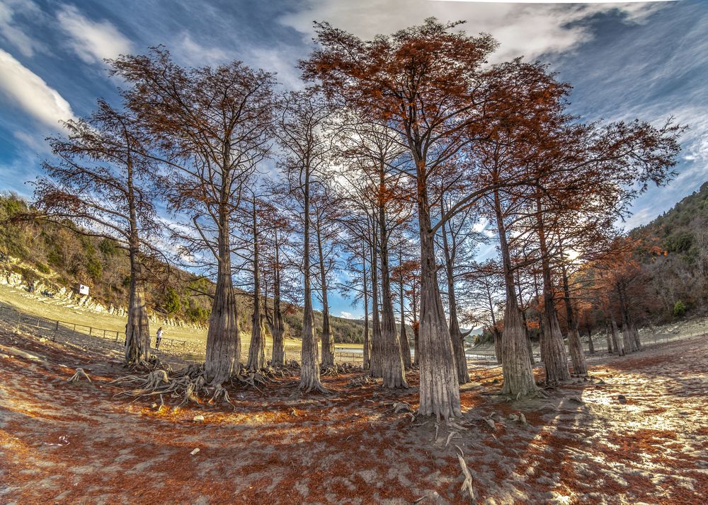 Photograph by Валерий Лейко