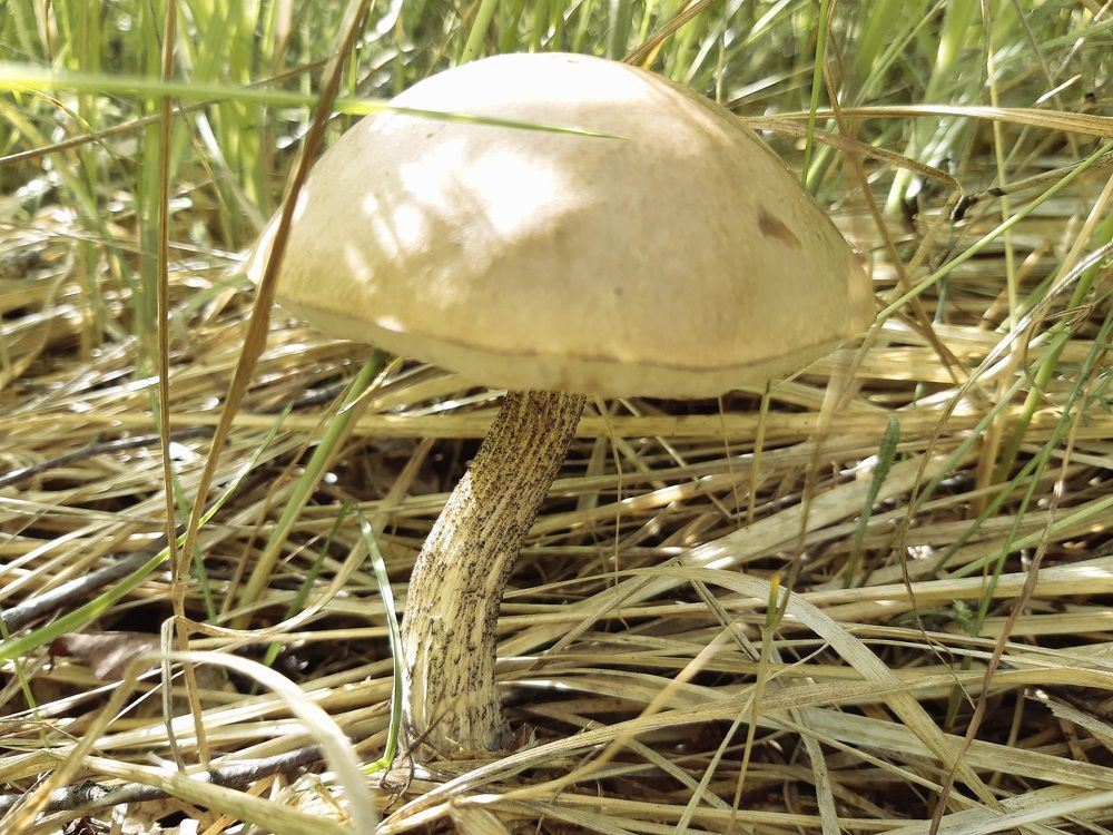 Photograph by Екатерина