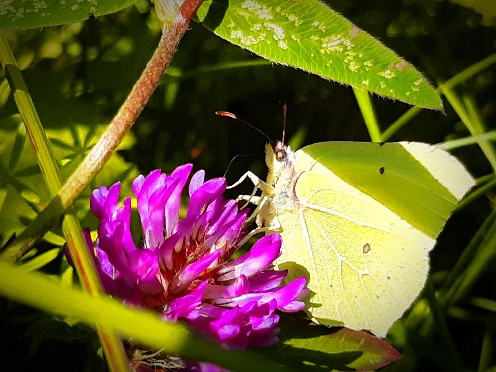 Летний столик со всеми удобствами