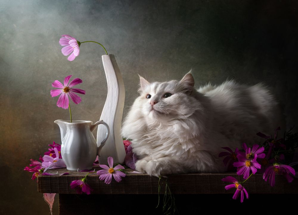 Photograph by Ирина Толокновская