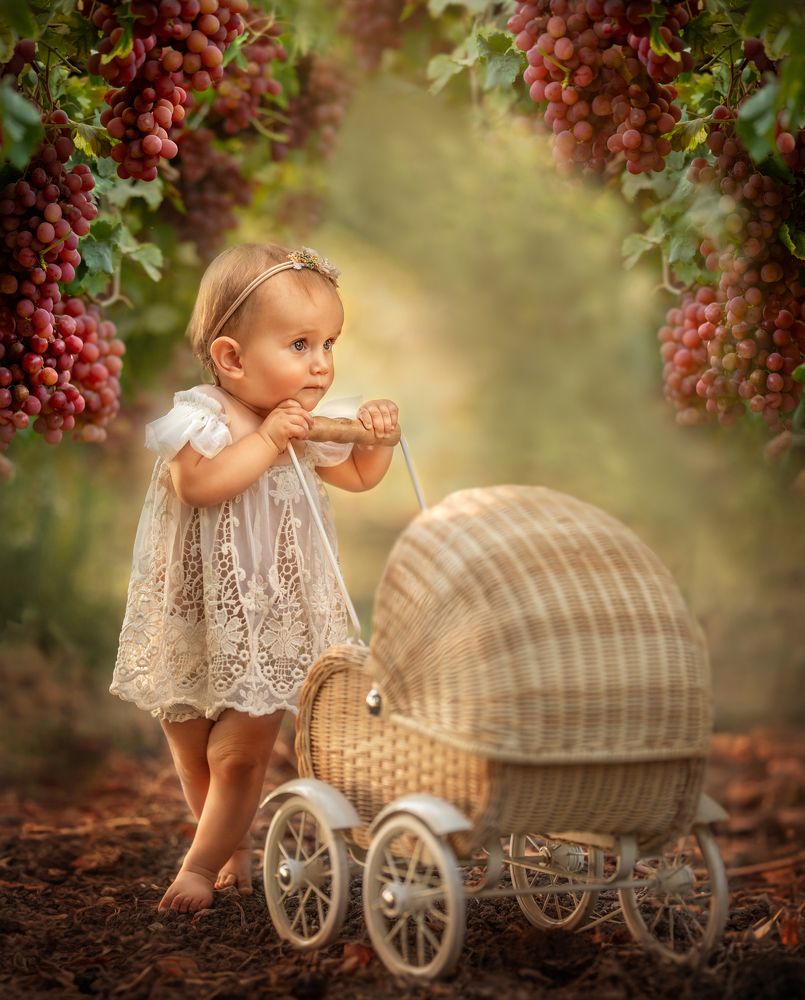 Photograph by Hamutal Avioz