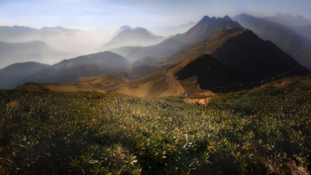 Photograph by ОЛЬГА КОВАЛЁВА