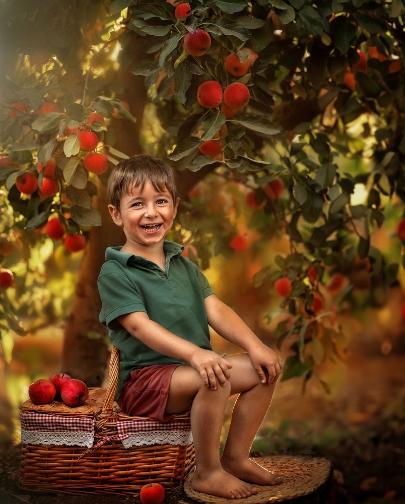 Photograph by Hamutal Avioz