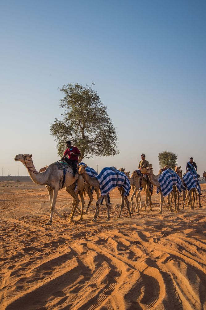 Фотография автора Syeda Fahamida